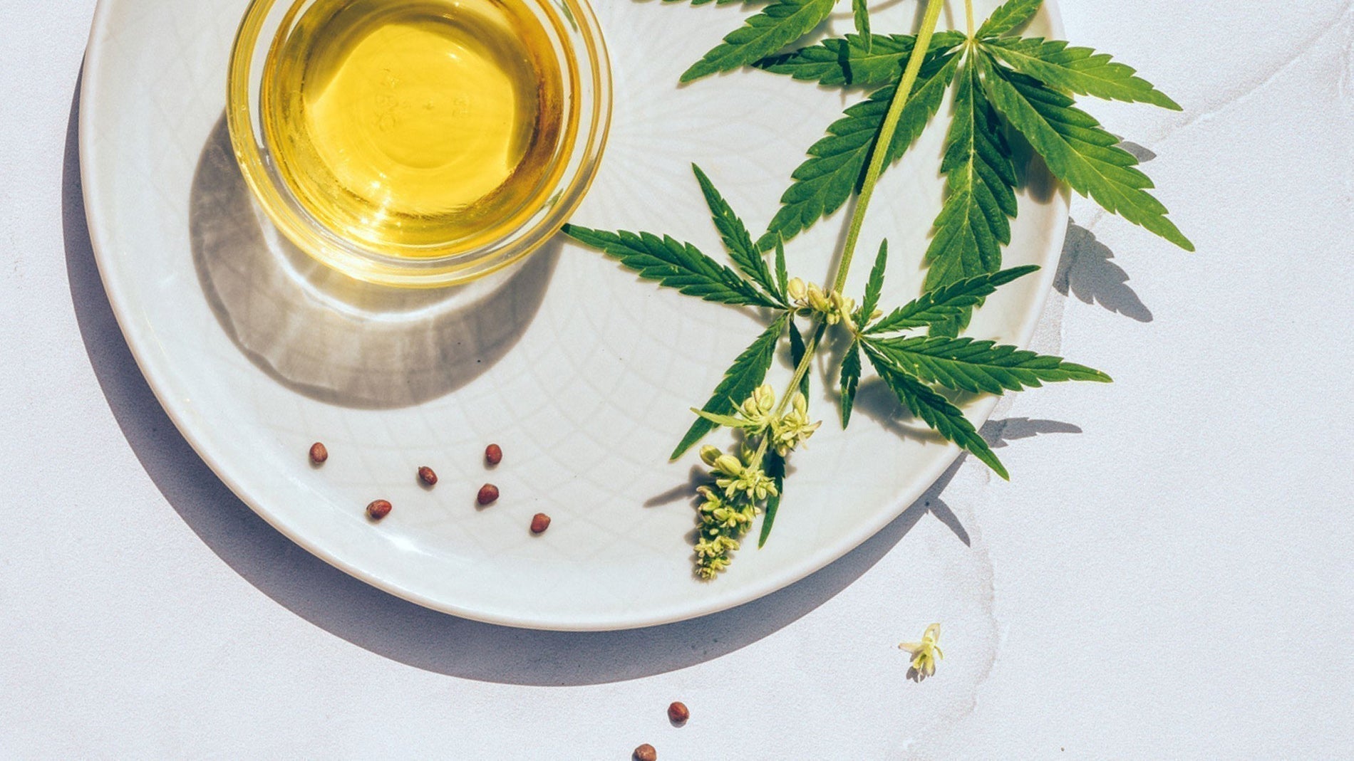 Illustration showing cannabis leaves with terpene molecules and icons representing vaping, extracts, edibles, and aromatherapy, highlighting their effects, safe handling, and EU compliance.