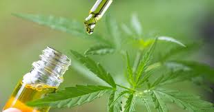 Top-Selling Terpenes Across Europe: Trends Driving Consumer Demand