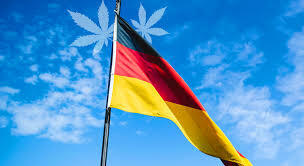 How German Laws Shape the Terpene Profiles You Can Access