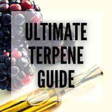 The Ultimate Retail Terpene Guide: Top Picks for Cannabis Enthusiasts
