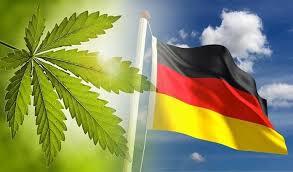 The Rising Importance of Terpenes in Germany’s Emerging Cannabis Market
