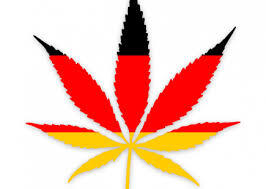 Sustainability and Innovation: The Future of Terpene-Infused Cannabis in Germany