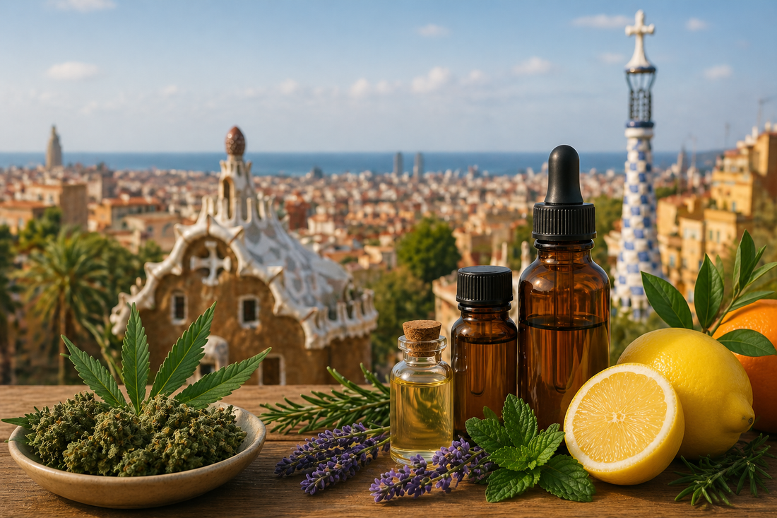 Natural terpene oils with citrus fruits and herbs on a wooden table overlooking a Spanish cityscape.