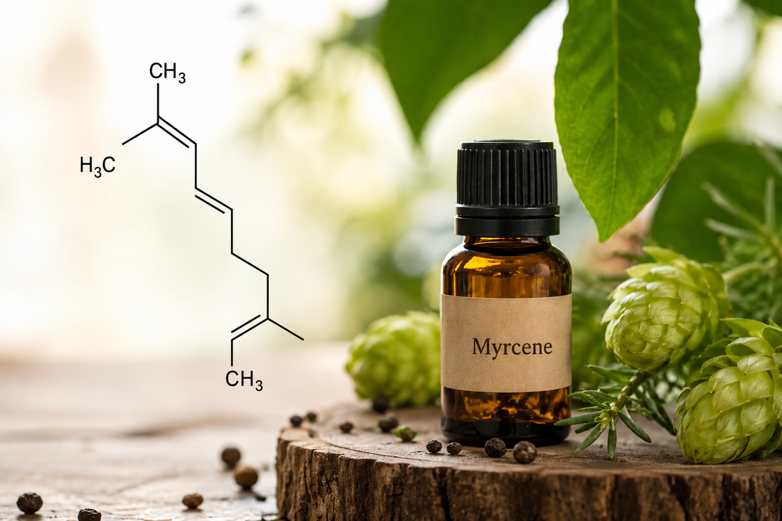 Myrceen, Voordelen, Aroma, Effecten &amp; Toepassingen Uitgelegd