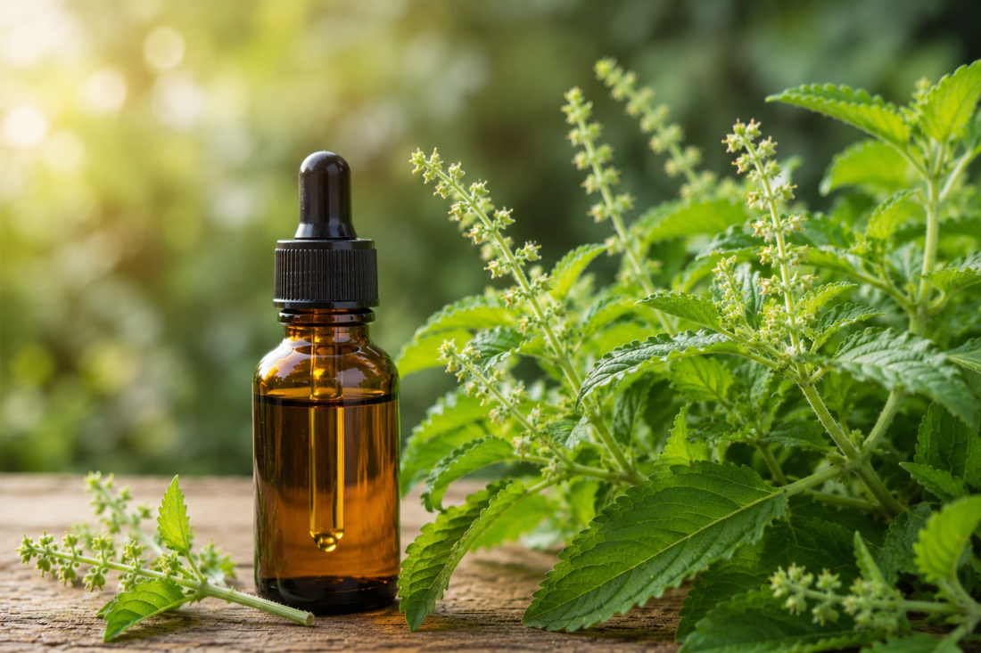  Das süßlich-kräuterige Terpen hinter exotischen Cannabis-Sorten