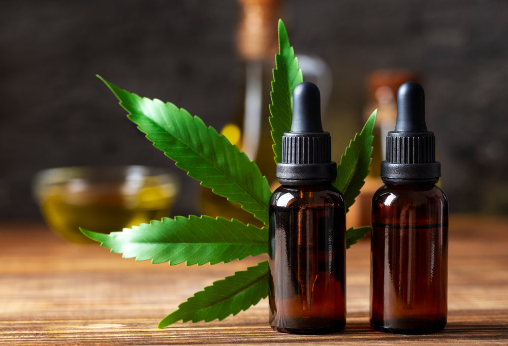 Terpenes vs. Essential Oils: What’s the Difference?