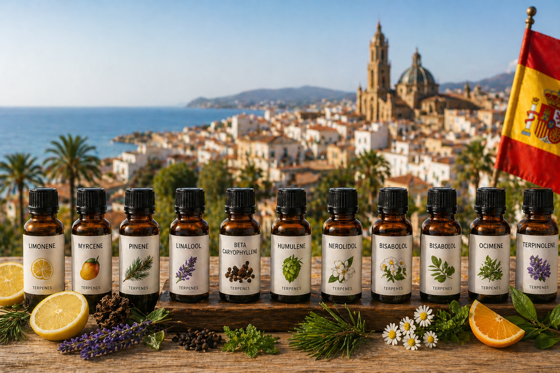 Frascos de terpenos con cítricos y hierbas sobre una mesa con vistas a un pueblo costero español.