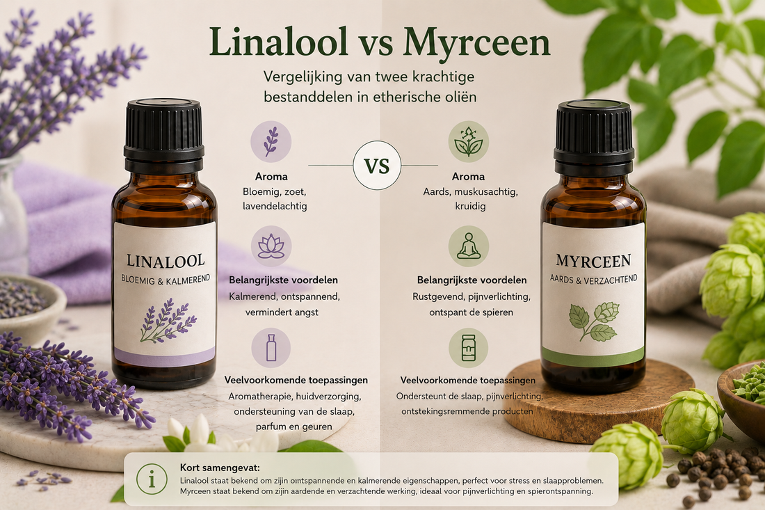 Vergelijkingsinfographic van Linalool en Myrceen met hun aroma’s, belangrijkste voordelen en veelvoorkomende toepassingen in een rustgevende, natuurlijke setting.
