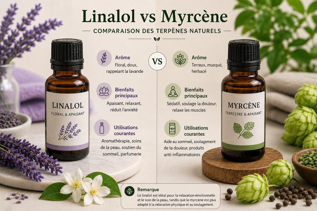Infographie comparative du linalol et du myrcène : arômes, bienfaits et utilisations des terpènes naturels