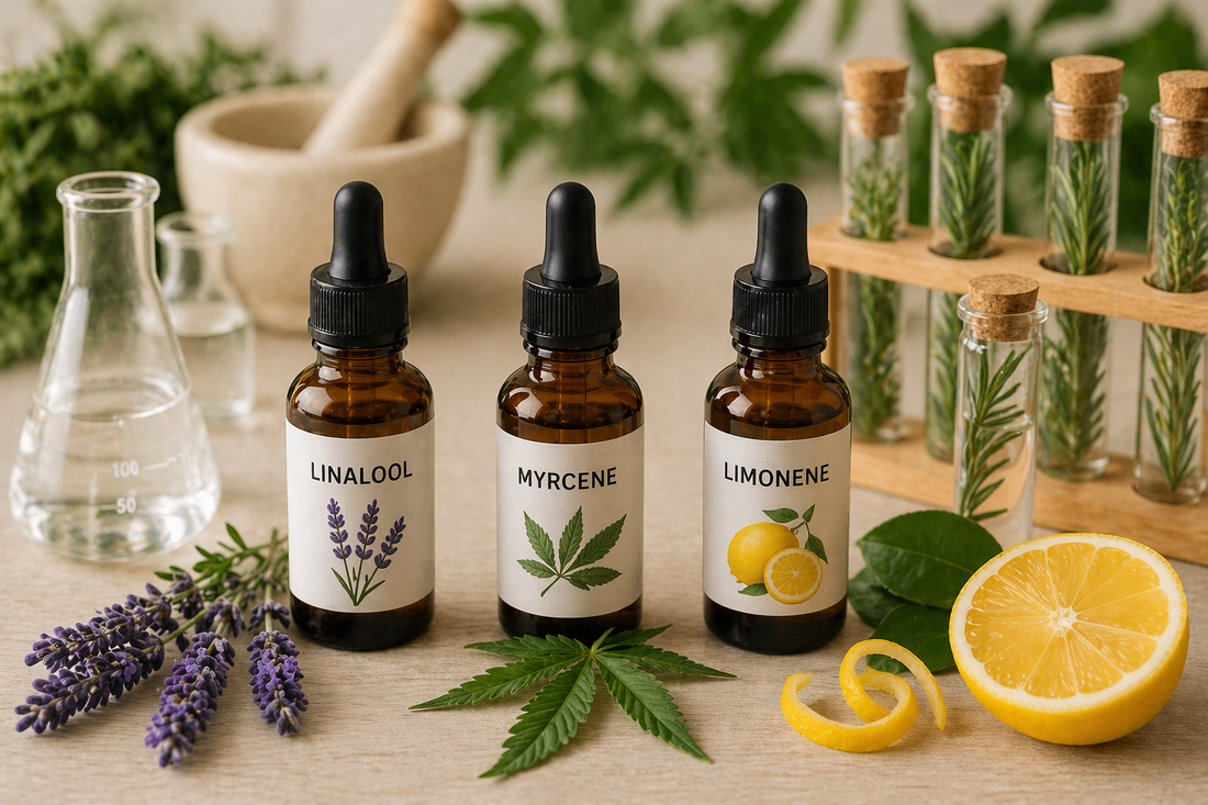 Amber bottles of linalool, myrcene, and limonene with herbs and lemon on a wooden surface