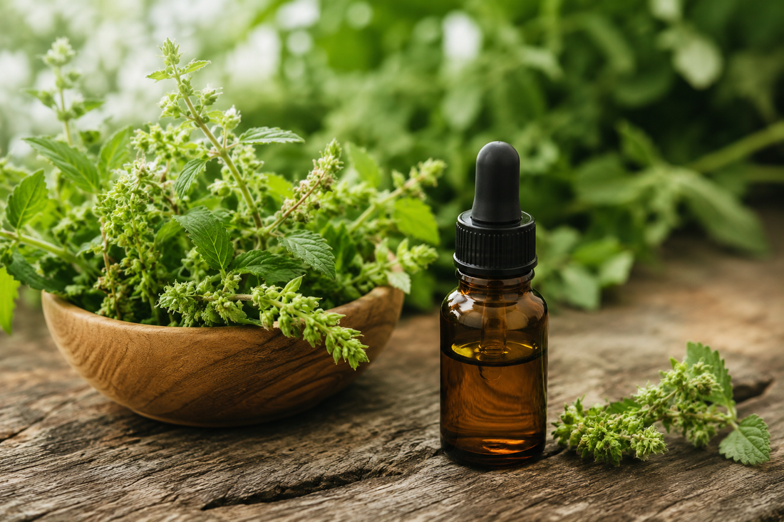 Die Wissenschaft hinter Ocimen: Entzündungshemmendes und aromatisches Potenzial