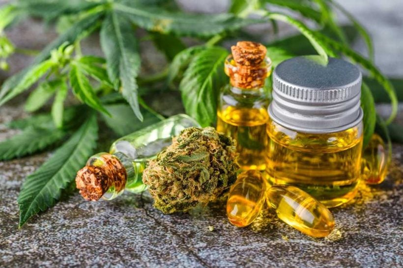 Amber bottles of cannabis-derived terpenes displayed with natural plant elements, highlighting true-to-strain aroma, rich complexity, and premium extraction quality.
