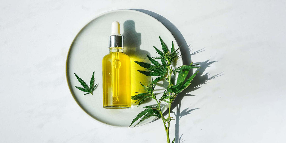 HG Terpenes premium UK terpene bottles arranged with citrus, earthy, and gas-inspired strain elements, highlighting purity, lab testing, and authentic flavour profiles.