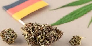 Navigating the Regulatory Landscape for Terpenes in German Cannabis Products