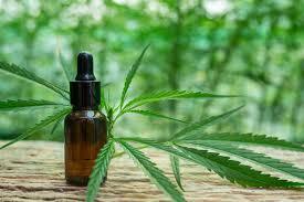 Shop Smart: Tips for Buying Quality Cannabis Terpenes in the UK