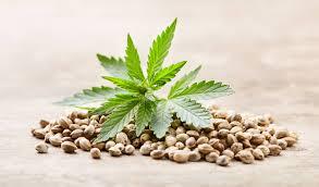 Maximize Flavor & Aroma: Retail Terpene Recommendations for Cannabis Lovers
